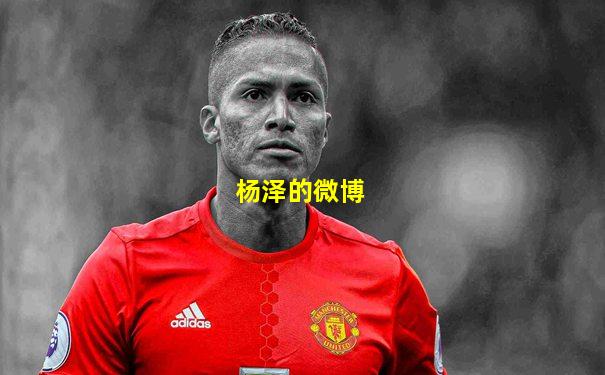 杨泽的微博