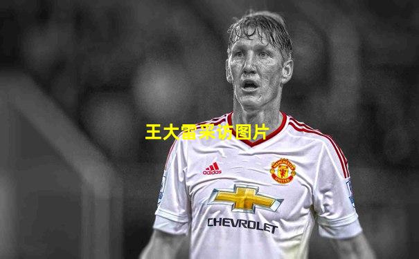 王大雷采访图片