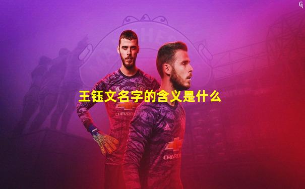 王钰文名字的含义是什么