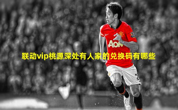 联动vip桃源深处有人家的兑换码有哪些